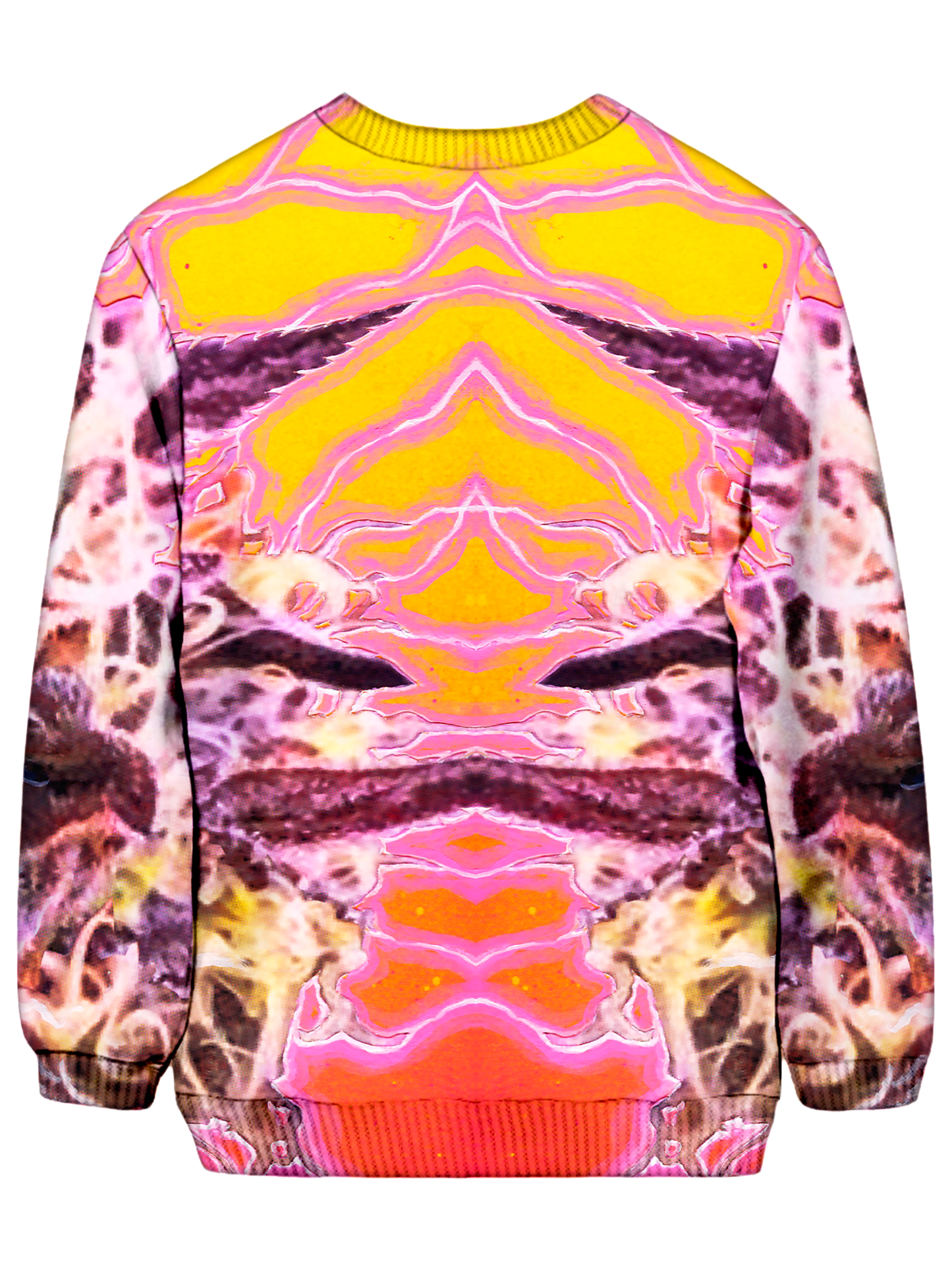Albert Pinestein Sweatshirt - iEDM