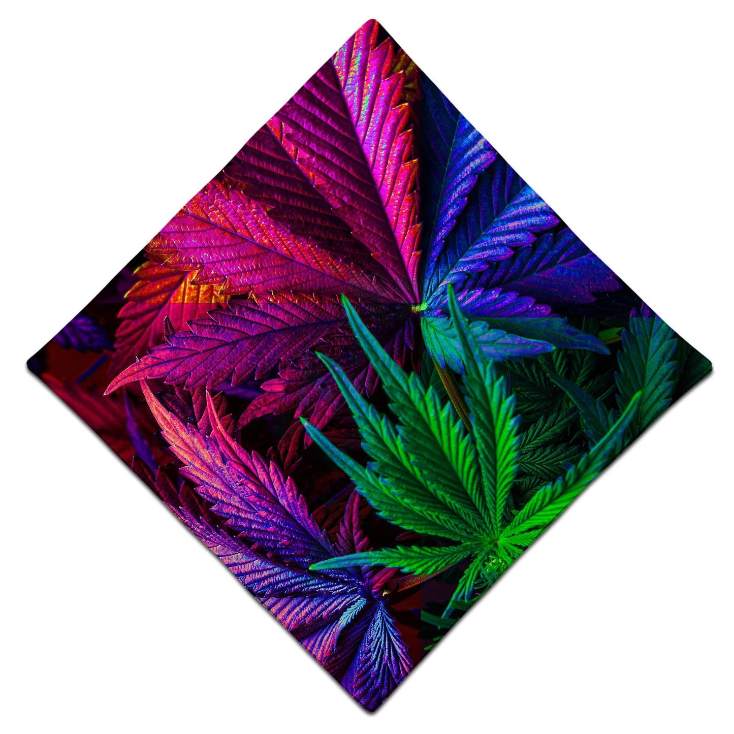 Thermo Chronic Bandana, Noctum X Truth, | iEDM