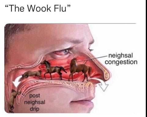 onblast-edm-blog/top-5-tips-tricks-wook-flu