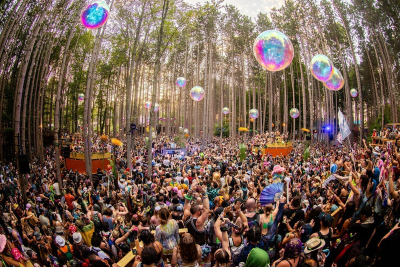 7 Undercard Artists You Can’t Miss at This Year’s Electric Forest