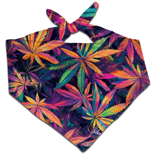 Lucid Haze Bandana - iEDM
