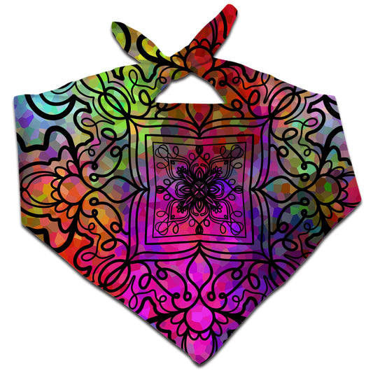 Ornate on Plasma Bandana, Psychedelic Pourhouse, | iEDM