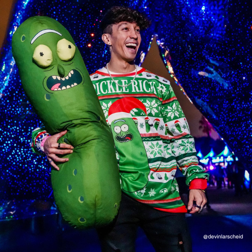 Pickle rick hot sale sweater