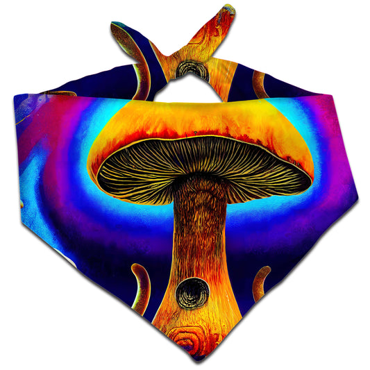 Happy Place Bandana, Noctum X Truth, | iEDM