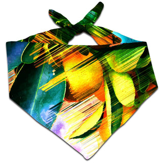 Adam Priester - Space Fruit Bandana