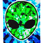 Alien Tie-Dye Bandana Mask, Big Tex Funkadelic, | iEDM