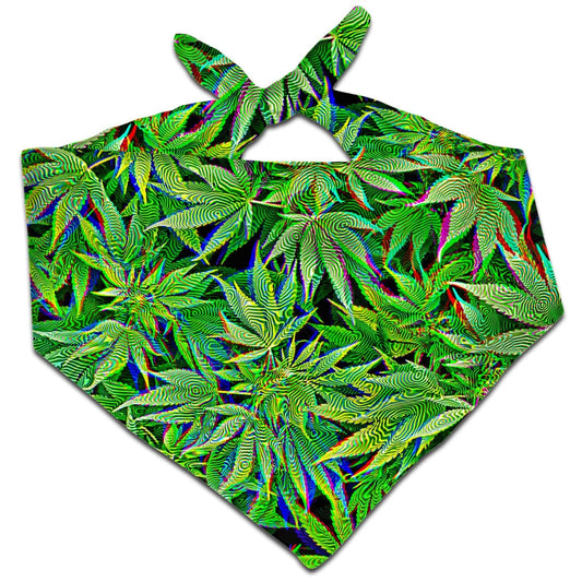 Dazed and Confused Bandana, Big Tex Funkadelic, | iEDM