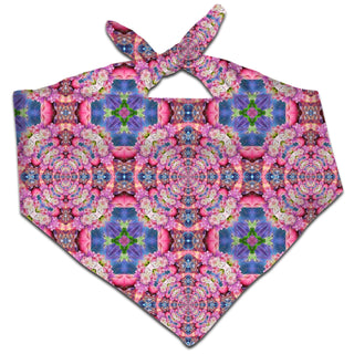 Lucid Eye Studios - Flourish Bandana