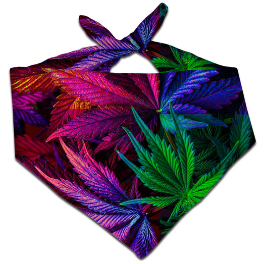 Thermo Chronic Bandana, Noctum X Truth, | iEDM