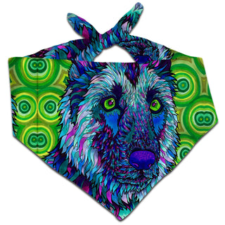 Rachel Rosenkoetter - Shepherdelic Bandana