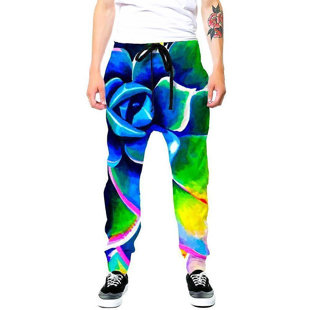 Rachel Rosenkoetter Supp Succulent Hoodie and Joggers Combo - iEDM