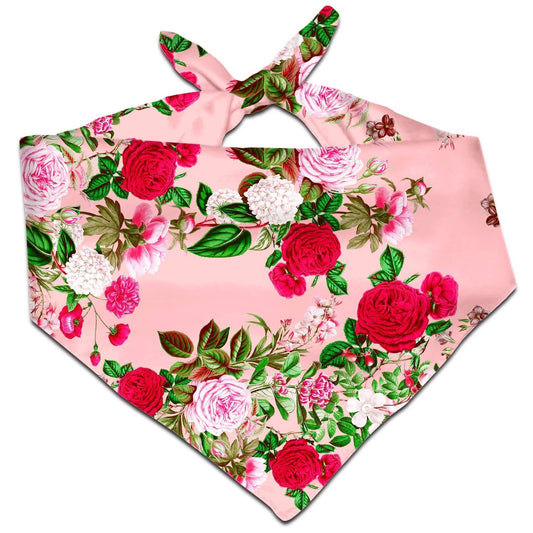 Pastel Bandana, Riza Peker, | iEDM