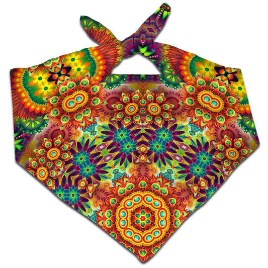 Ornate Color Journey Bandana, Sartoris Art, | iEDM