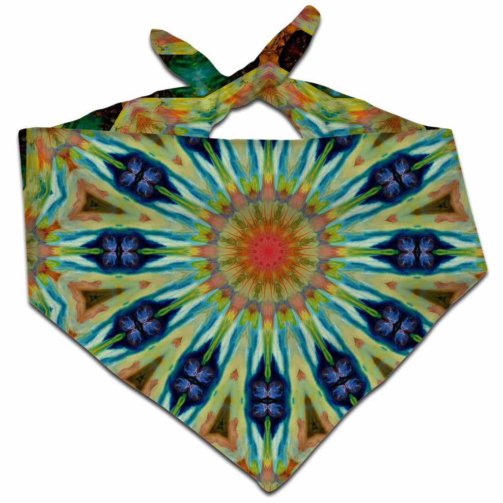 Peacock Spin Bandana, Sartoris Art, | iEDM