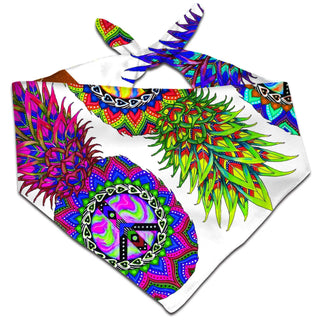 Svenja Jodicke - Ananas Trio Bandana
